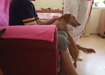 Setkání s pejskem Ebinkou aneb nakoukneme do Domova