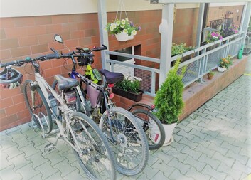 Jak se daří našim pracovníkům v této době plné změn a nových doporučení?