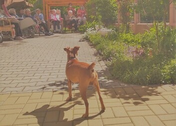 Jsme na jedné lodi, hájime zájmy lidí s demencí
