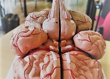 21. září Mezinárodní den Alzheimerovy choroby