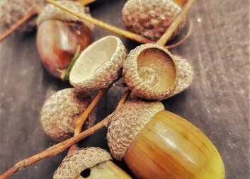 MPSV, Doporučený postup 14/2020