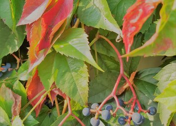 Zajímavost o svítidlech