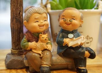 Pečuj doma_ on line podpora II.