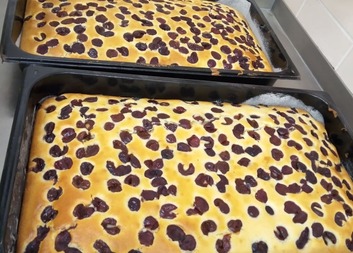 Čekáme na teplé dny jara