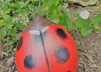 Reminiscence aneb naše mládí