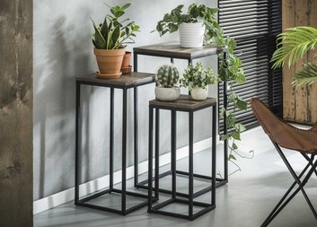 Květiny na okna našeho Domova