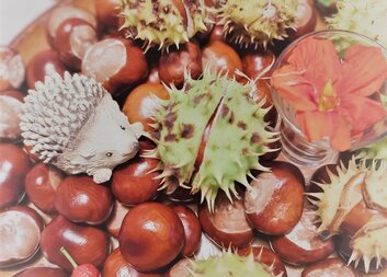 Povídáme si o Alzheimerově chorobě v ČRo