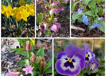 Jaro nám ťuká na dveře