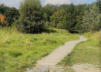 Péči o umírající zajišťuje ve FN Plzeň paliativní tým