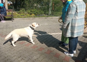 Návštěvy POTMĚ na dvorku