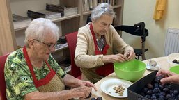 Ovocné léto v Domově sv. Aloise